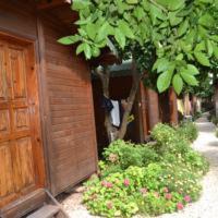 Photo of Others in Olympos