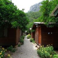 Photo of Others in Olympos