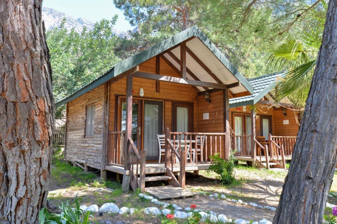 Photo of Others in Kabak Valley