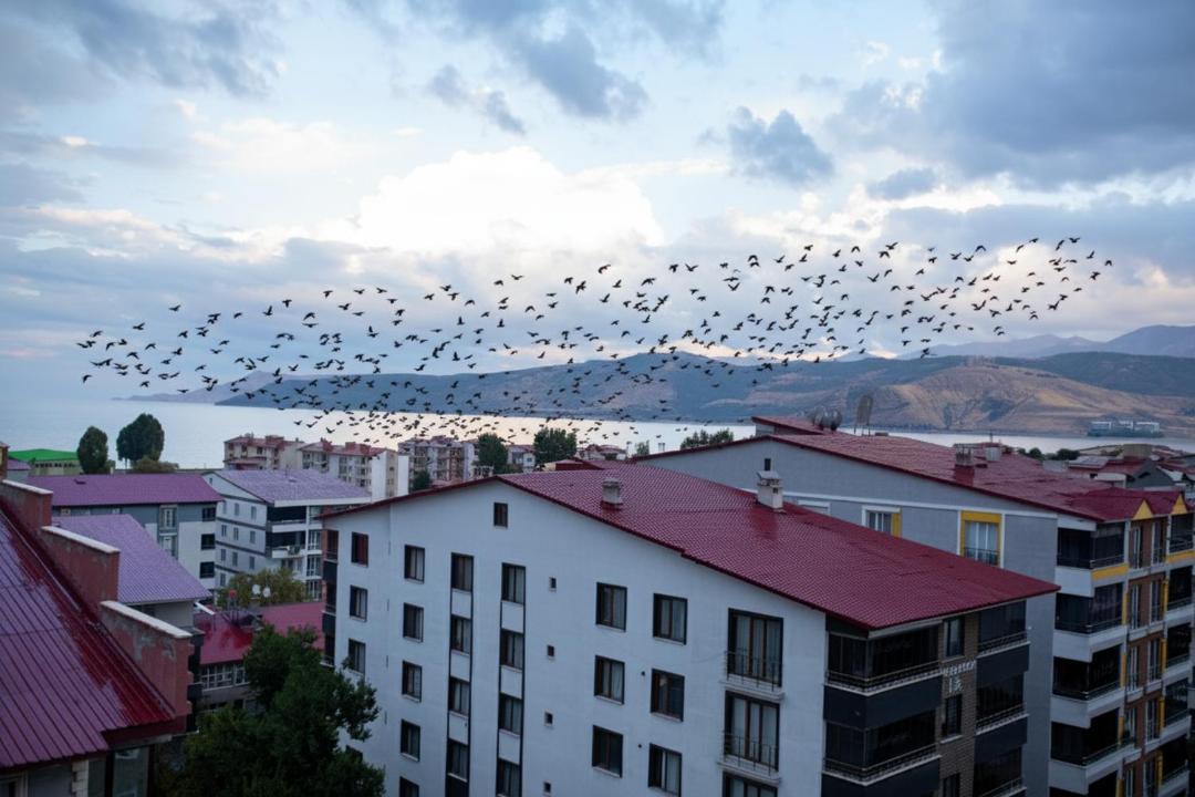 Photo of Others in Tatvan