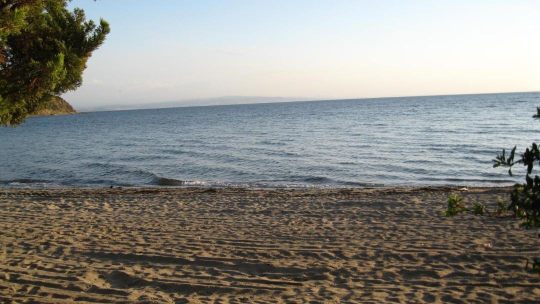 Photo of Others in Ocaklar