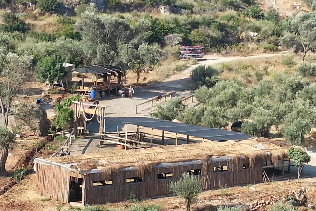 Photo of Livingroom in Patara