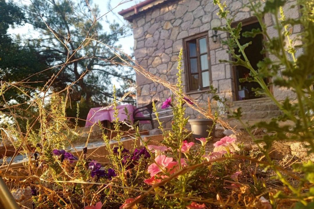 Photo of Others in Canakkale