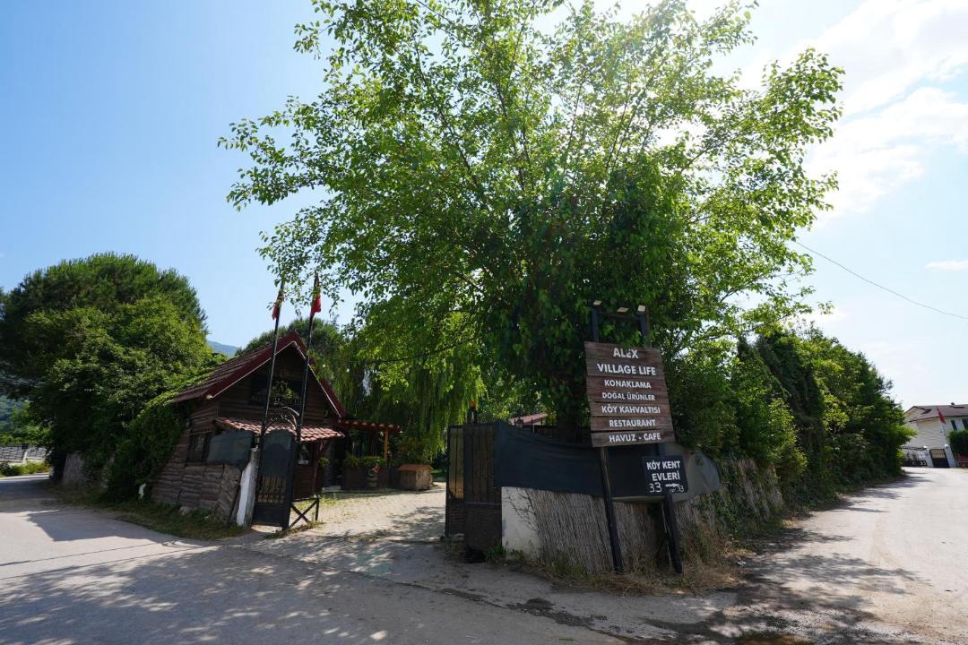 Photo of Others in Kartepe