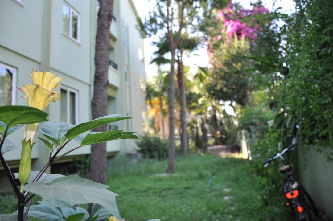 Photo of Others in Marmaris City Center