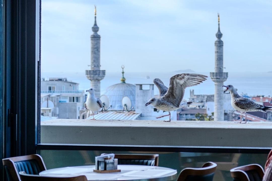 Photo of Others in Beyazit