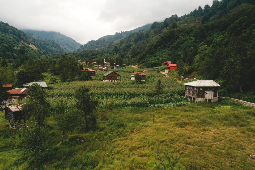 Photo of Others in Ardesen