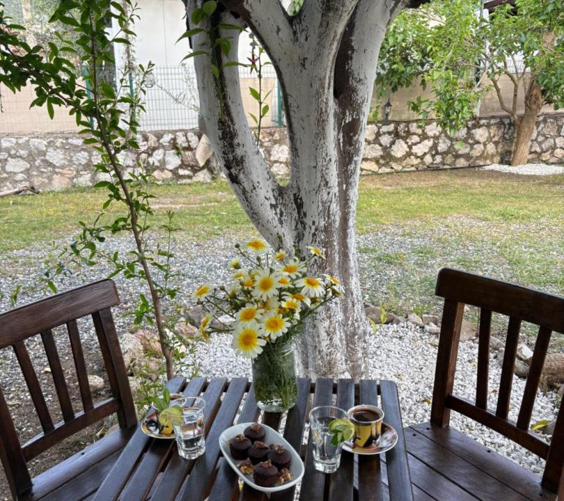 Photo of Others in Selimiye