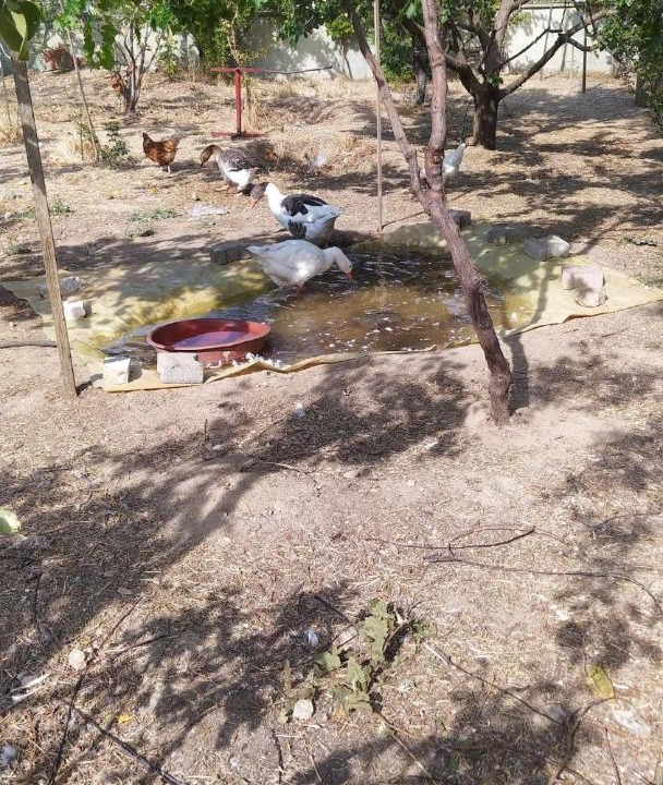 Photo of Others in Merkezefendi