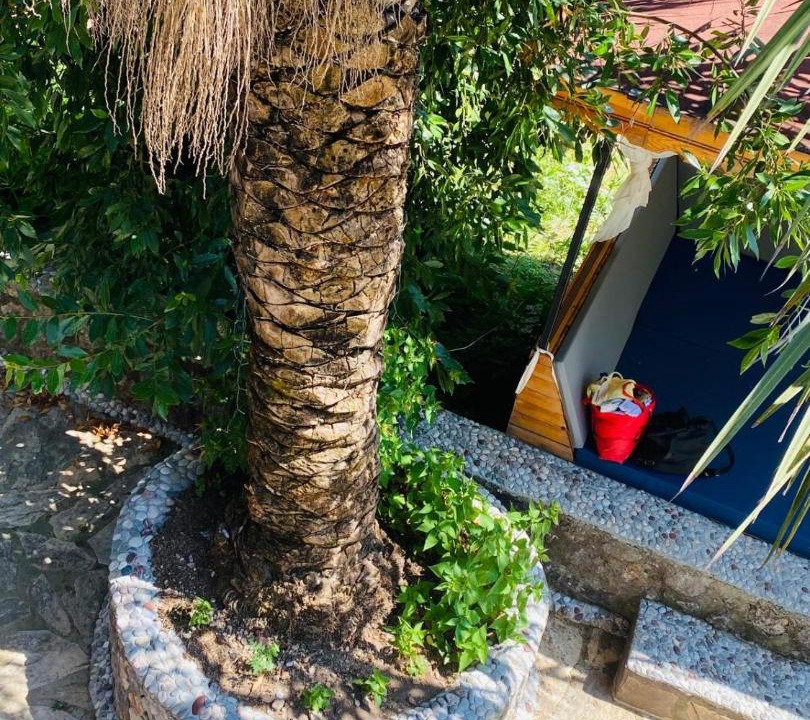 Photo of Others in Fethiye