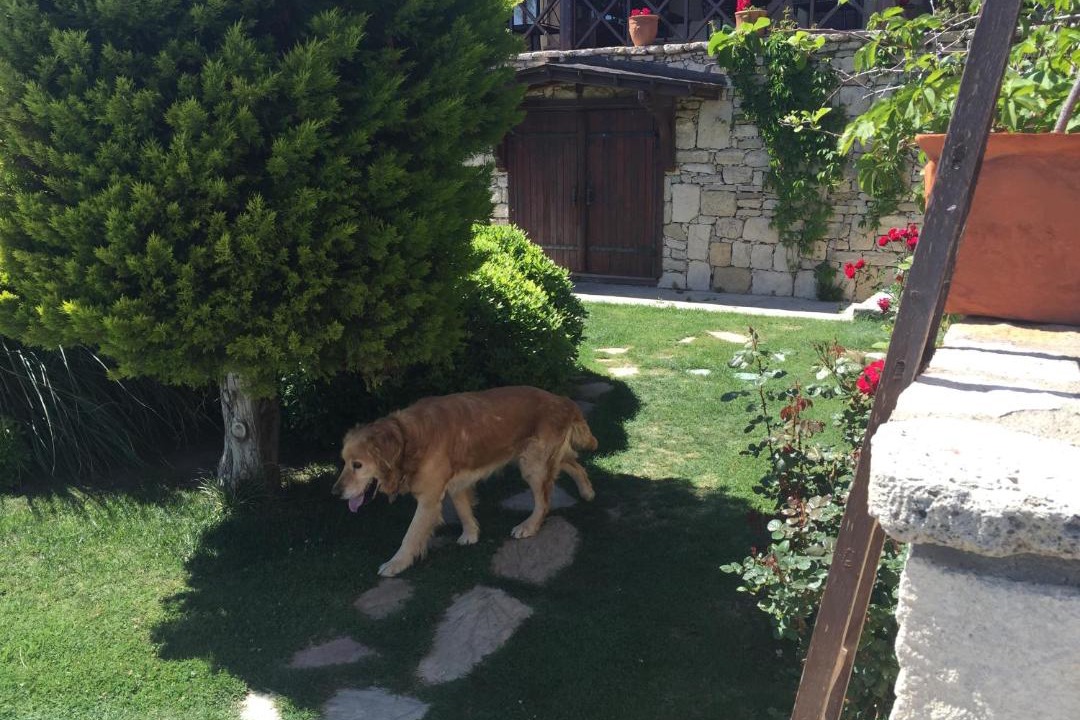 Photo of Others in Bozcaada