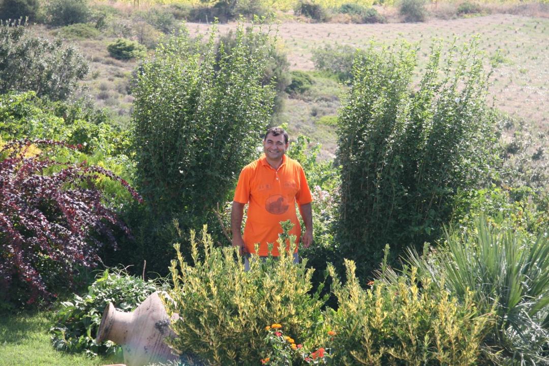 Photo of Others in Bozcaada