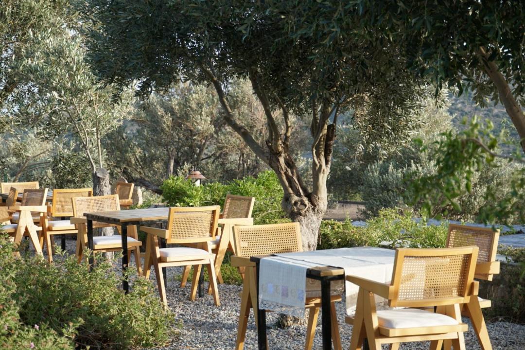 Photo of Others in Datca