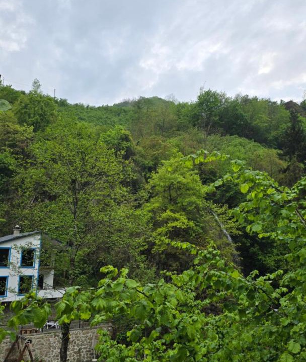 Photo of Others in Trabzon