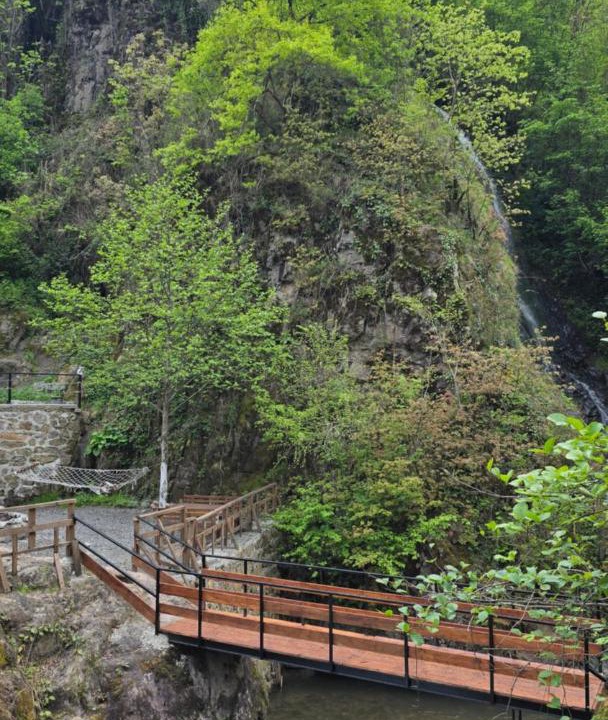 Photo of Others in Trabzon