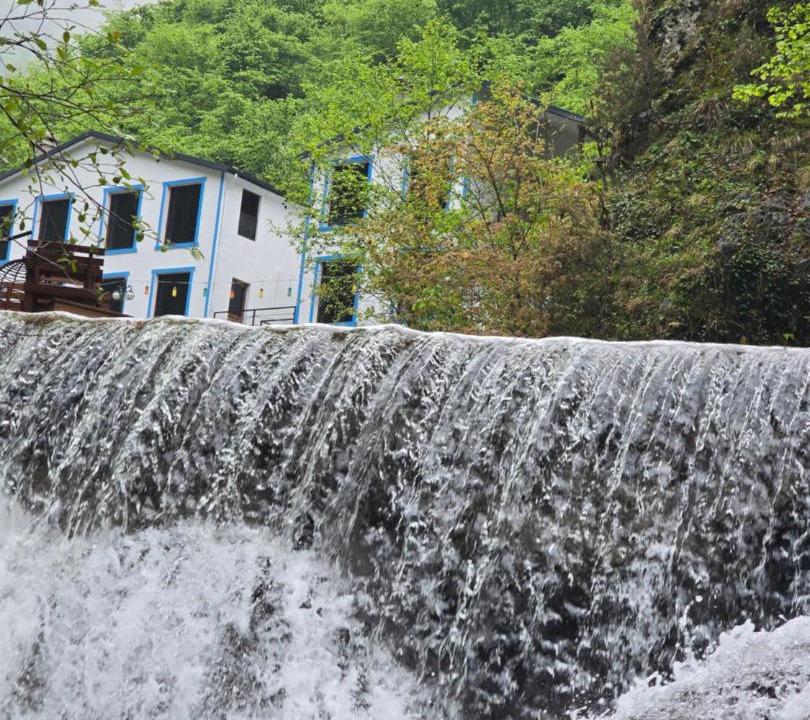 Photo of Others in Trabzon