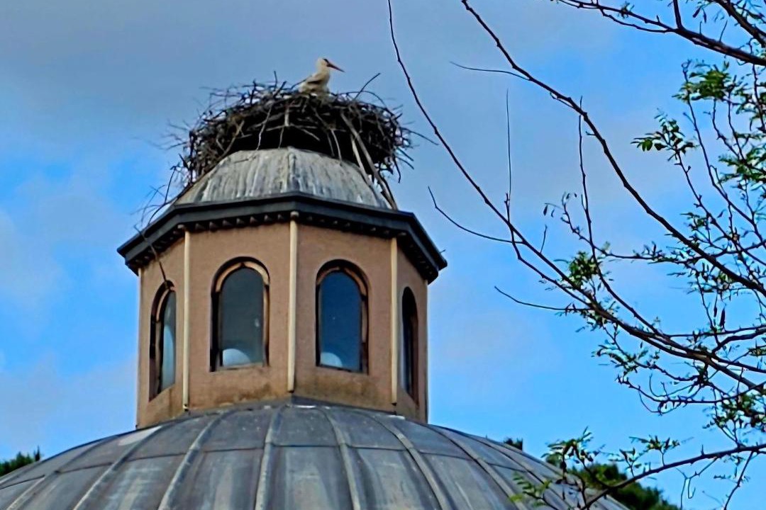 Photo of Others in Selcuk