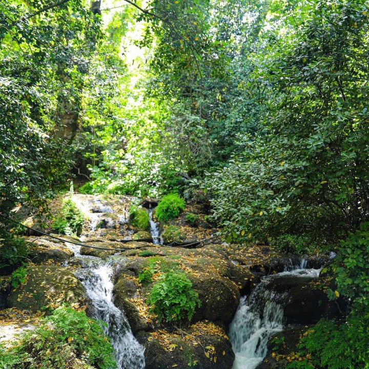 Photo of Others in Ulupinar