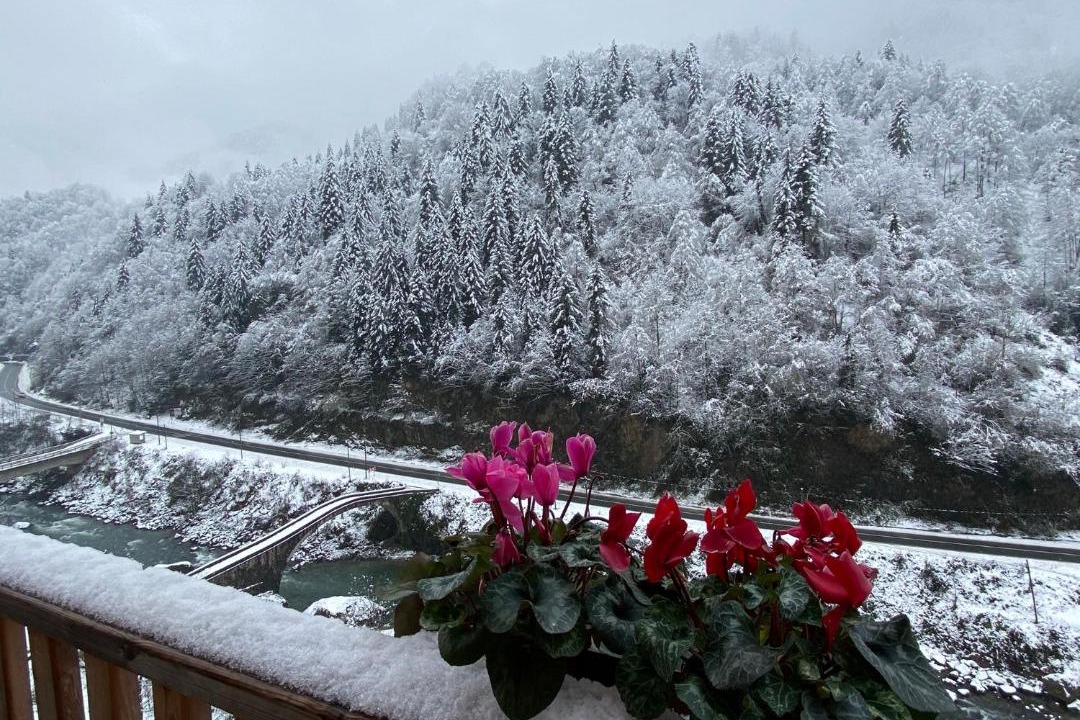 Photo of Others in Ayder