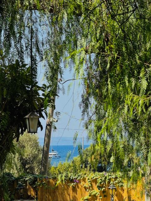Photo of Others in Datca