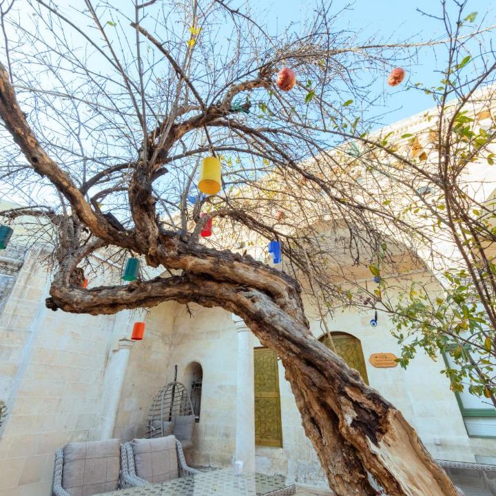 Photo of Others in Eyyubiye