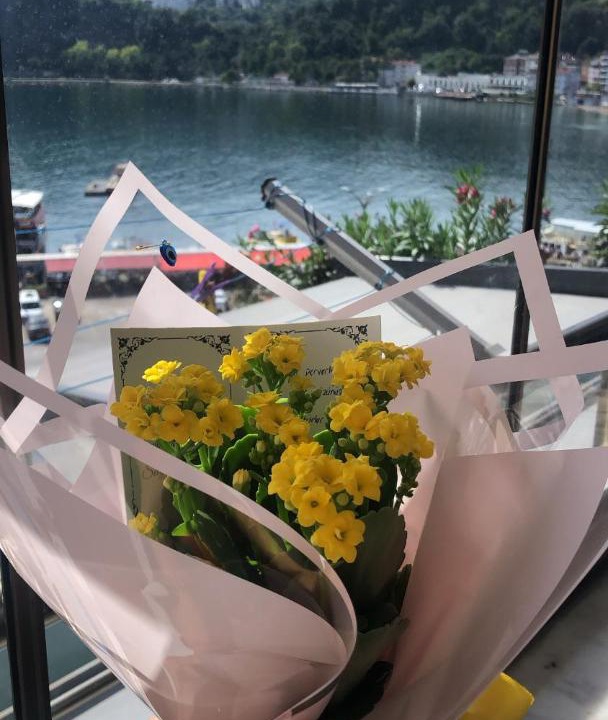 Photo of Others in Amasra