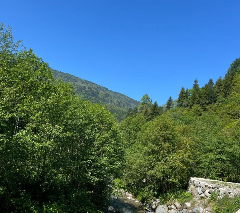 Photo of Others in Ayder