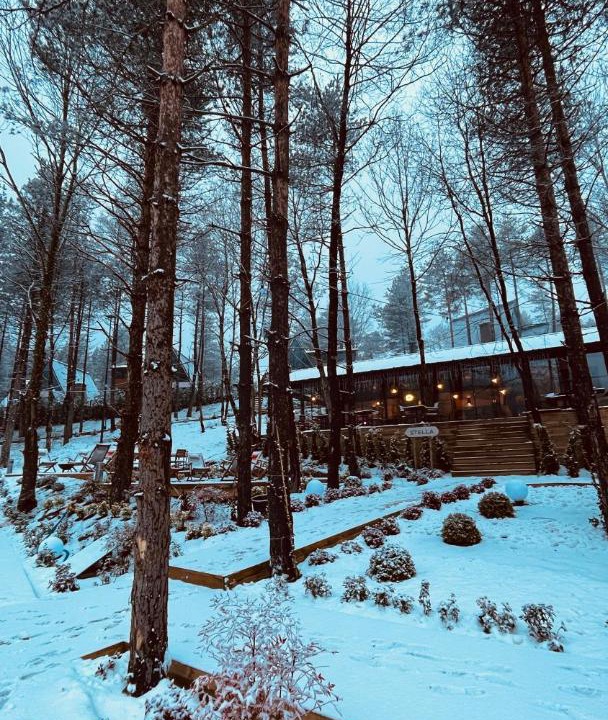Photo of Others in Sapanca
