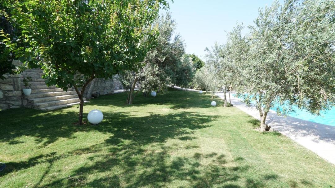 Photo of Others in Urla