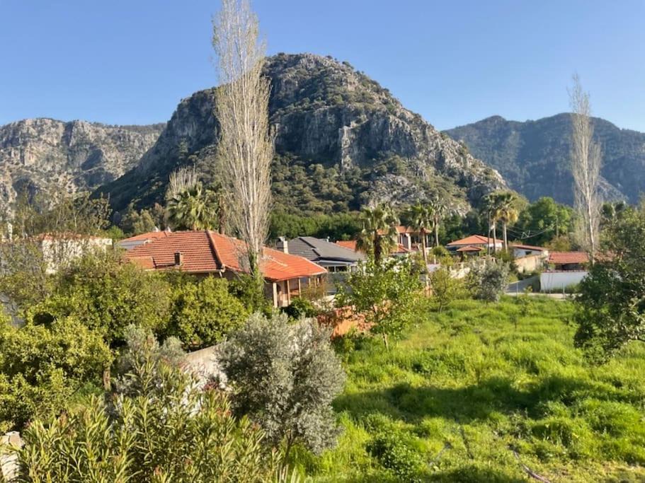 Photo of Others in Dalyan