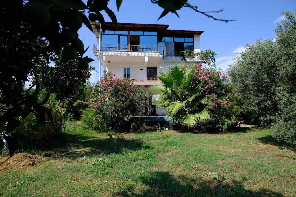 Photo of Others in Dalyan
