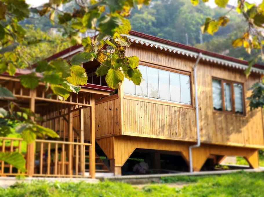 Photo of Others in Trabzon
