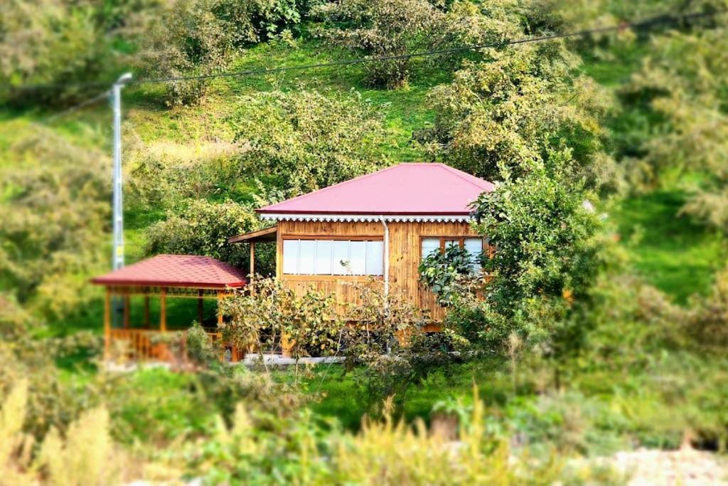 Photo of Others in Trabzon