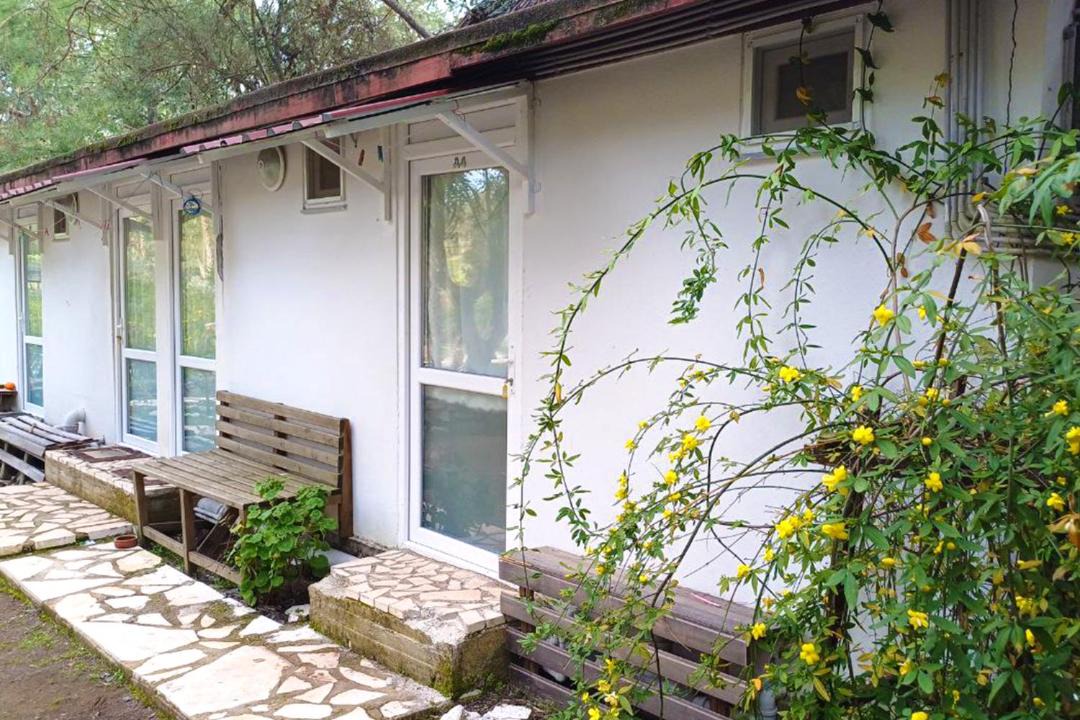 Photo of Others in Olympos