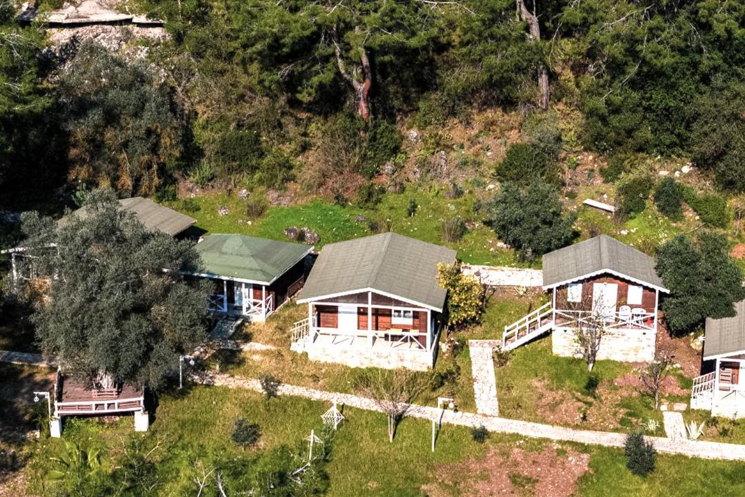 Photo of Others in Olympos