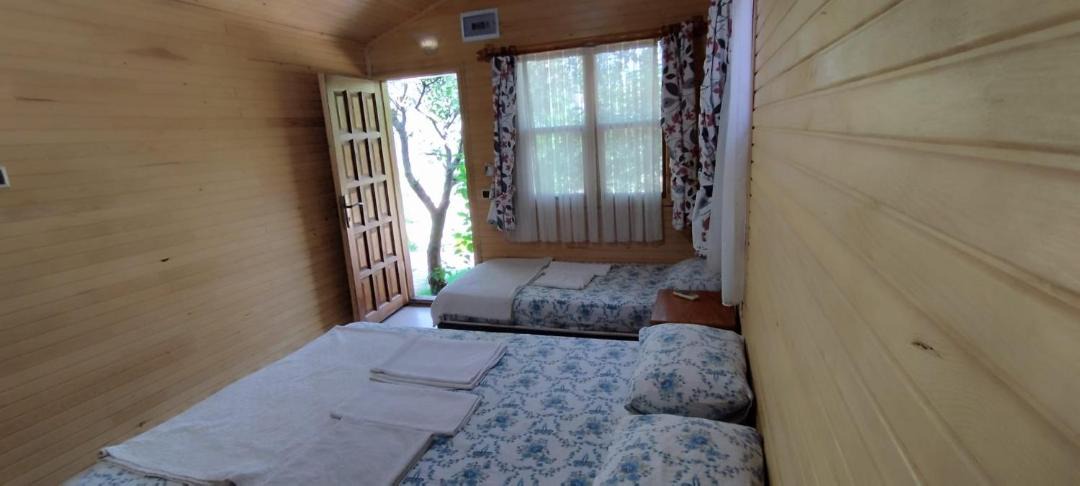 Photo of Others in Olympos