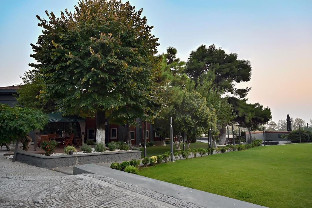 Photo of Others in Kartal