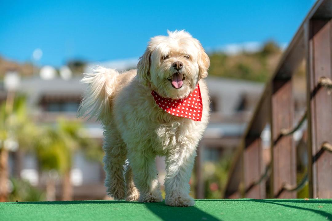 Photo of Others in Seki