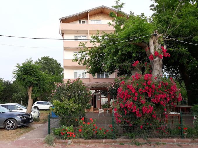 Photo of Others in Cakrazseyhler