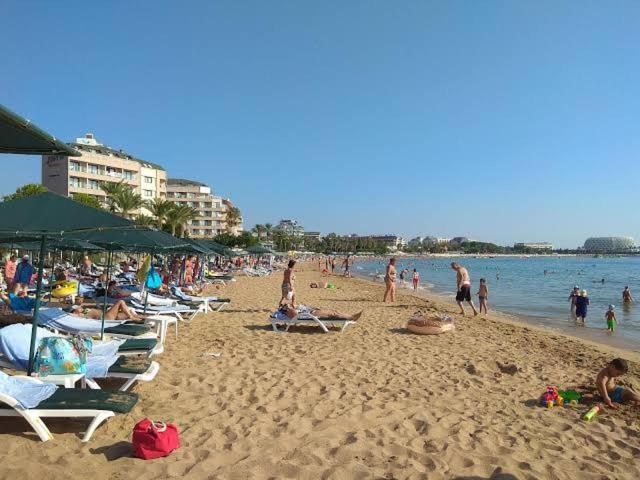 Photo of Others in Avsallar