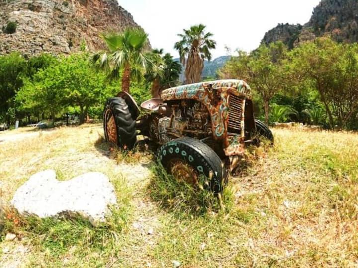Photo of Others in Oludeniz City Center