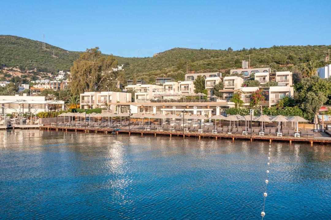 Photo of Others in Torba