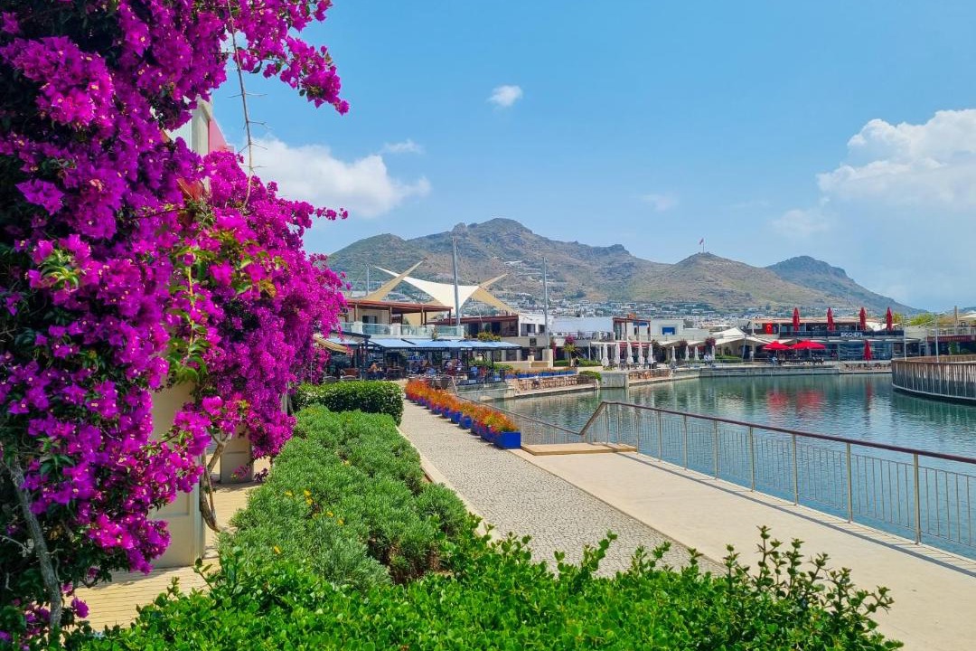Photo of Others in Turgutreis City Center