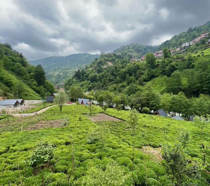 Photo of Others in Ayder