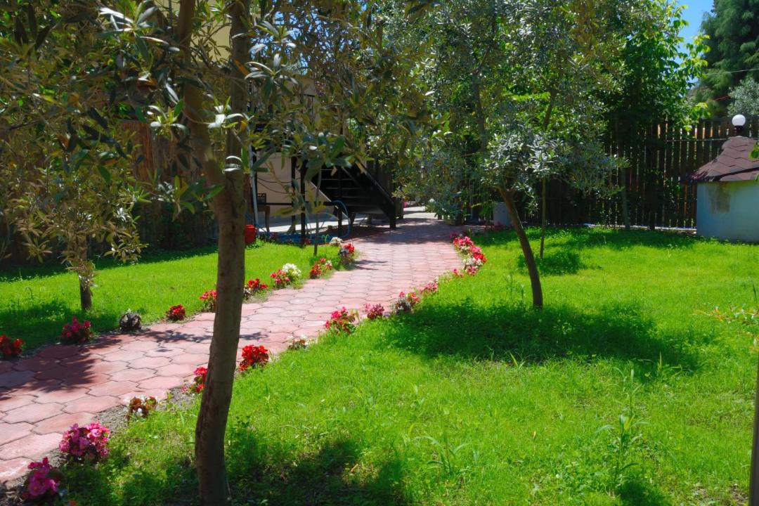 Photo of Others in Iznik