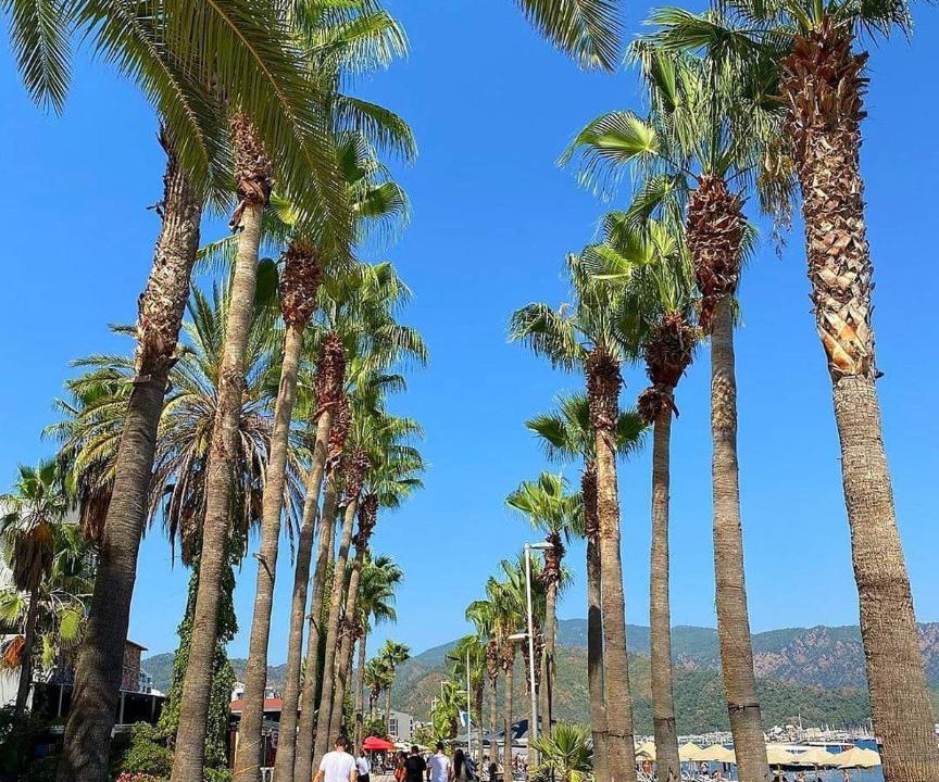 Photo of Others in Marmaris City Center