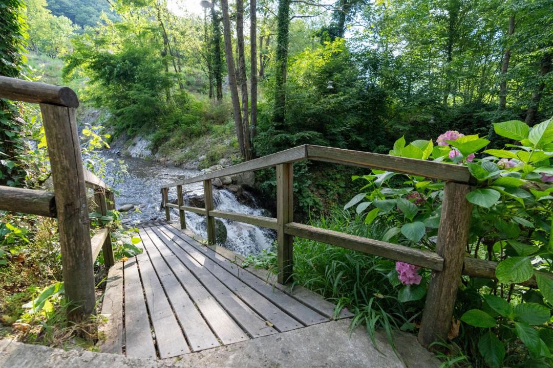 Photo of Others in Sapanca
