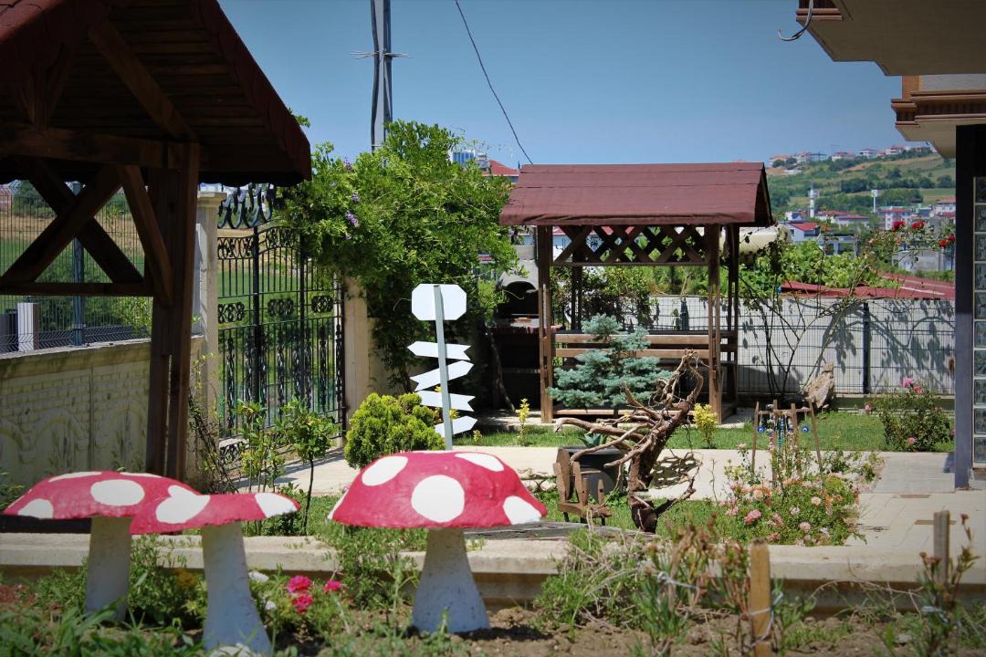 Photo of Others in Sinop