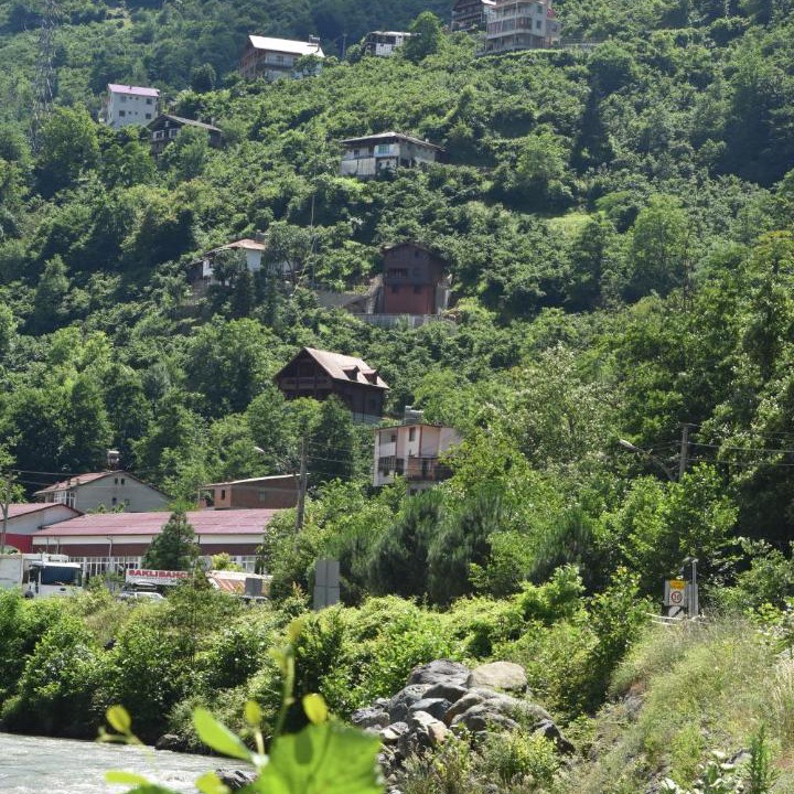Photo of Others in Caykara