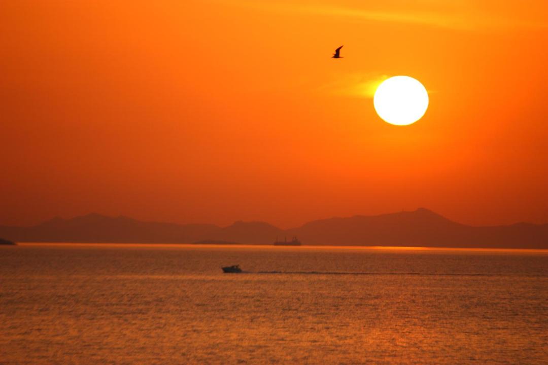 Photo of Others in Turgutreis
